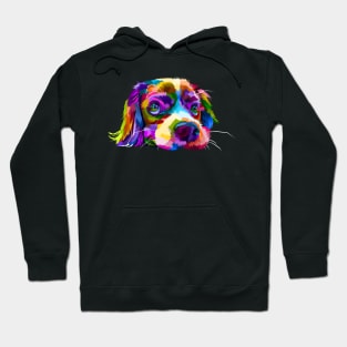 Rainbow Cavalier King Charles Spaniel Hoodie